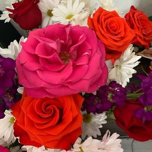 Meet your Posher, Sandy